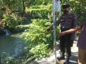Polsek Semampir Laksanakan Giat Pemantauan Debit Air Sungai Pegirian, Terpantau Situasi Normal
