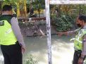 Polsek Semampir Cek Ketinggian Debit Air Sungai Pegirian, Antisipasi Adanya Potensi Banjir