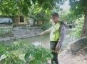 Polsek Semampir Pantau Ketinggian Air Sungai Pegirian, Waspada Adanya Potensi Banjir
