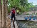 Polsek Semampir Cek Ketinggian Air Sungai Pegirian, Antisipasi Adanya Potensi Banjir
