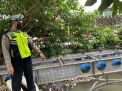Polsek Semampir Cek Ketinggian Debit Air Sungai Pegirian, Terpantau Dalam Batas Normal