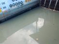Polsek Krembangan Laksanakan Pemantauan Debit Air Sungai, Waspada Adanya Potensi Banjir