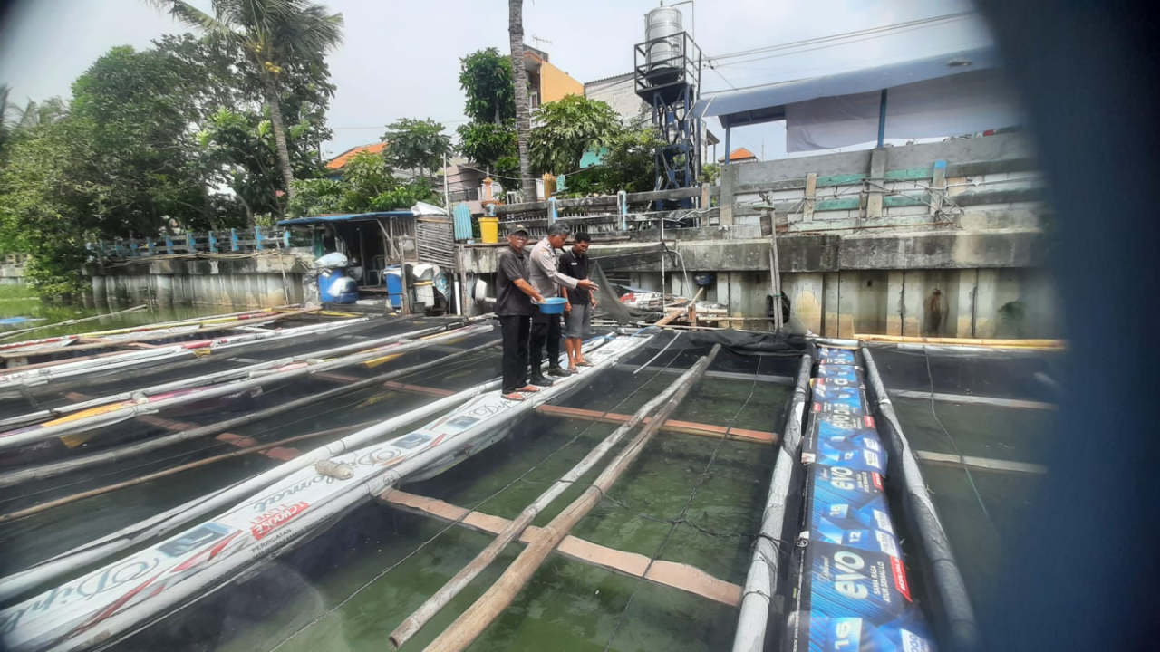 Polsek Krembangan Dukung Ketahanan Pangan Astacita di Keramba Lele Gadukan Utara