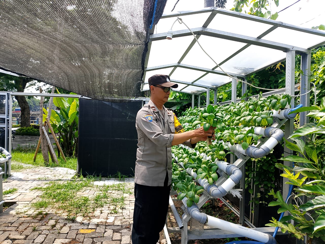 Bhabinkamtibmas Laksanakan Pembinaan Program Ketahanan Pangan di Pekarangan Hidroponik Petekkan