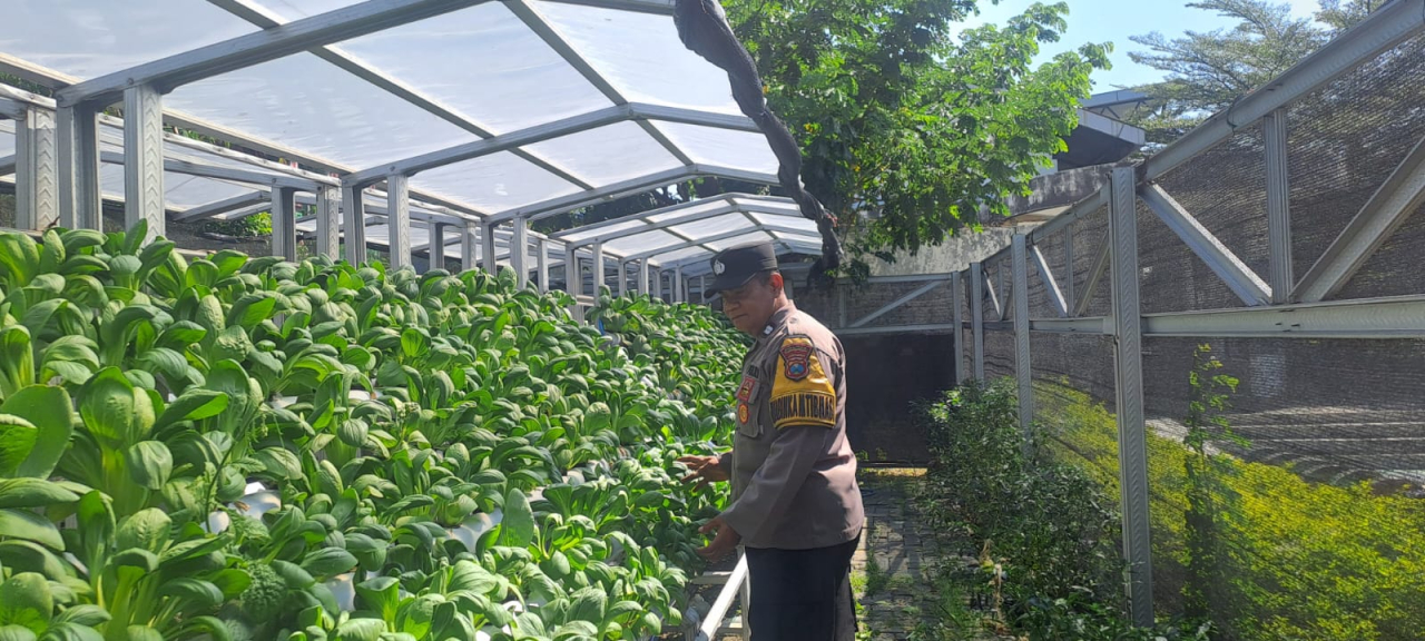 Bhabinkamtibmas Pabean Cantikan Laksanakan Pembinaan Ketahanan Pangan Hidroponik dan Sampaikan Pesan Kamtibmas