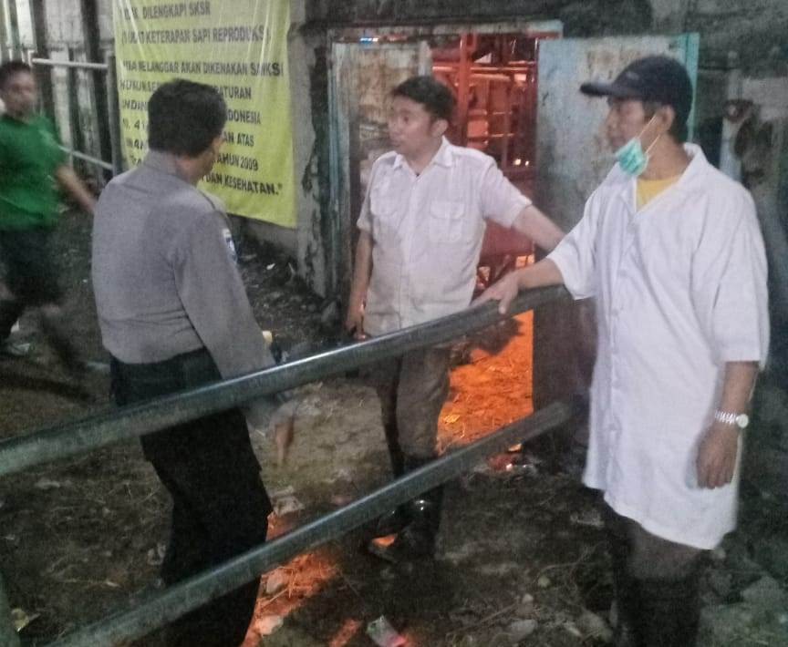 Babinkamtibmas Sidotopo Pantau Proses Penyembelihan Sapi di RPH