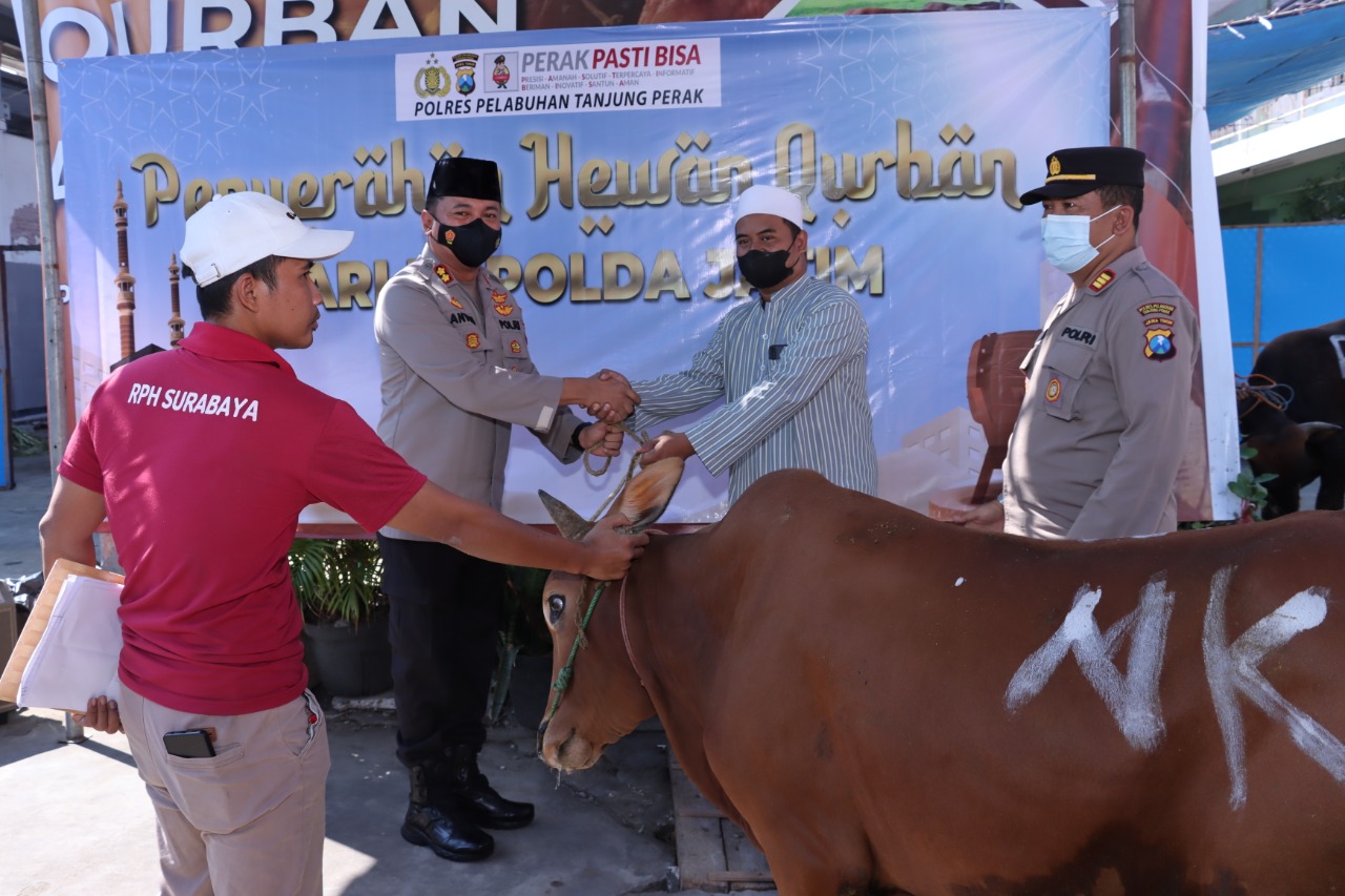Idul Adha 1443 H, Polres Tanjung Perak Salurkan Hewan Kurban 7 Sapi dan 41 Kambing